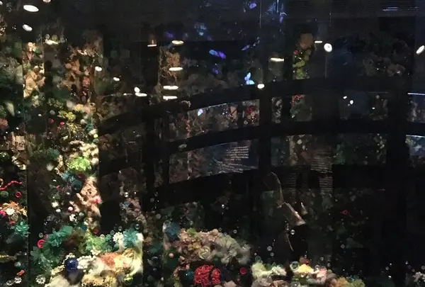 ポーラ ミュージアム アネックスの写真・動画_image_254456