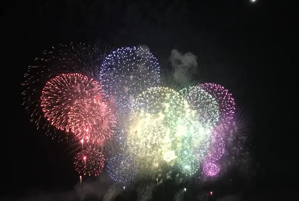 長岡まつり大花火大会の写真・動画_image_254886