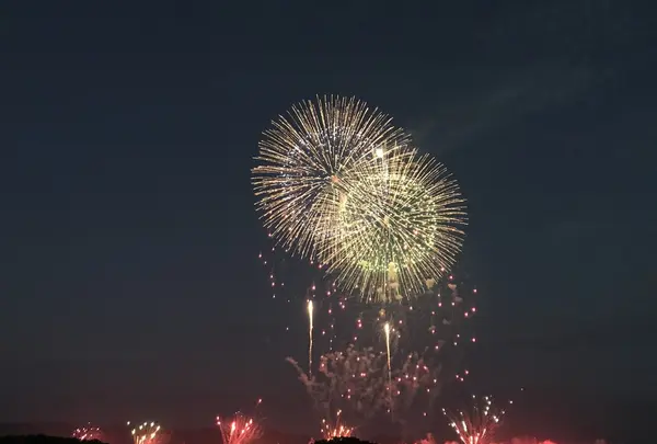長岡まつり大花火大会の写真・動画_image_254887