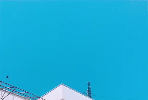 ダブルドアーズ 七里ガ浜（DOUBLE DOORS）の写真・動画_image_255252