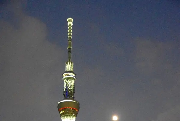東京水辺ライン両国発着場の写真・動画_image_255265