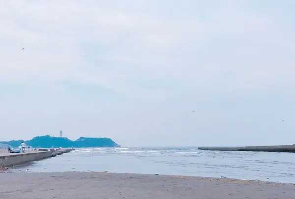 鵠沼海岸の写真・動画_image_255477