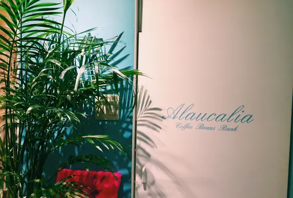 アラウカーリア コーヒー ビーンズ バンク （Alaucalia Coffee Beans Bank）の写真・動画_image_255631