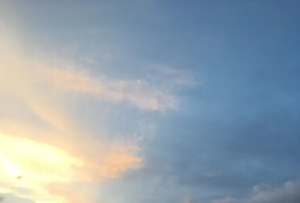 山中湖村の写真・動画_image_255827