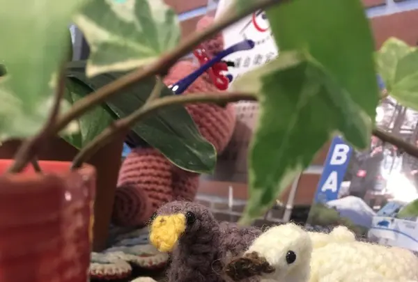 山中湖村の写真・動画_image_255828