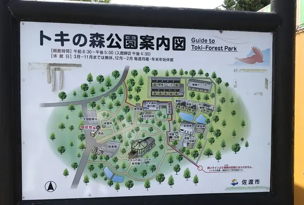トキの森公園の写真・動画_image_256348