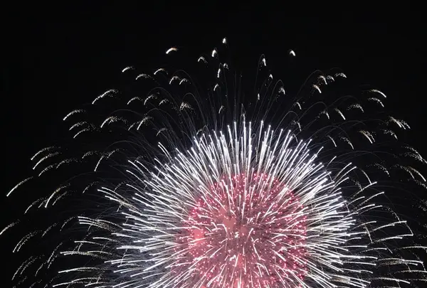 長岡まつり大花火大会の写真・動画_image_256355