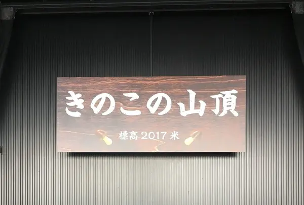 東京タワーの写真・動画_image_256541