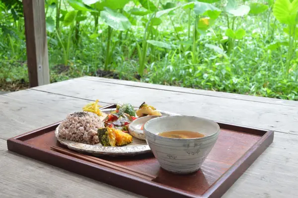 ライステラスカフェの写真・動画_image_256930