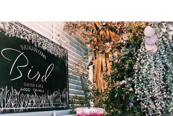 Bird 代官山（バード）の写真・動画_image_257167
