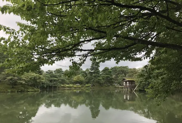 兼六園の写真・動画_image_257274