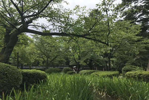 兼六園の写真・動画_image_257276