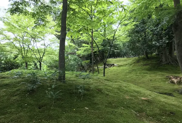 兼六園の写真・動画_image_257279