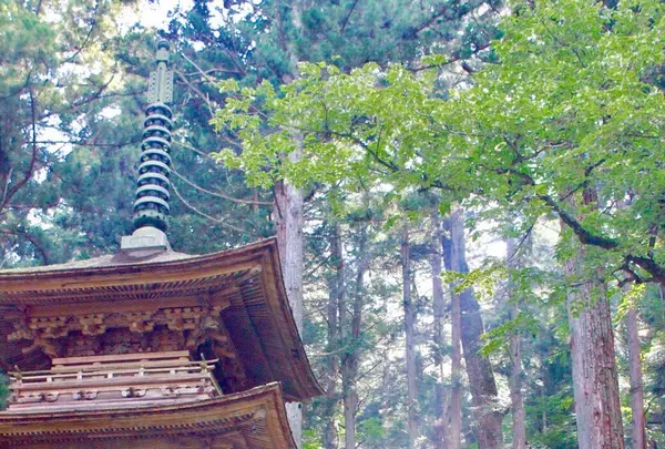 光前寺の写真・動画_image_257712