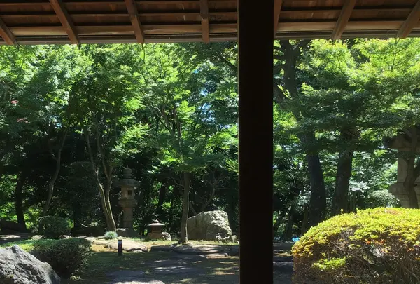 旧朝倉家住宅の写真・動画_image_257813