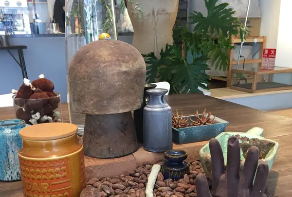 Artichoke chocolateの写真・動画_image_258268