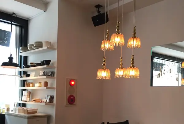 LENTO（レント）の写真・動画_image_258282