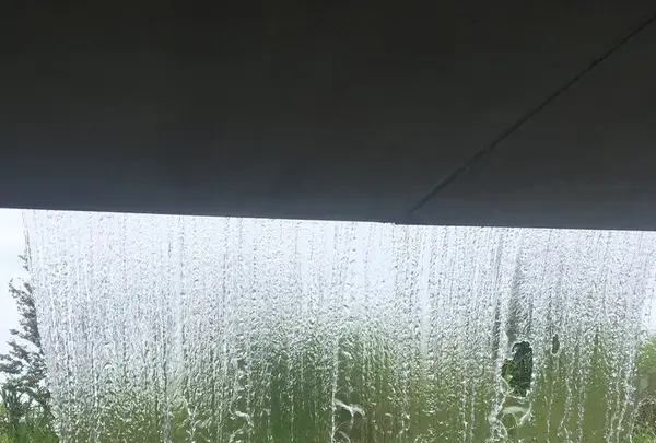 アクアマリンふくしまの写真・動画_image_258850