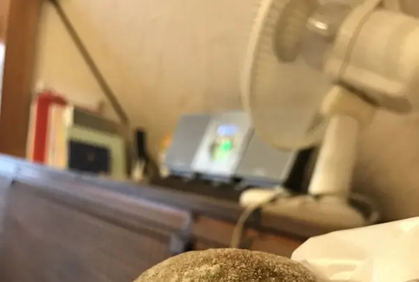 haritts 上原店（ハリッツ 上原店）の写真・動画_image_258943