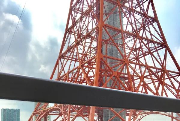 ワカヌイ グリル ダイニング バー東京の写真・動画_image_259274