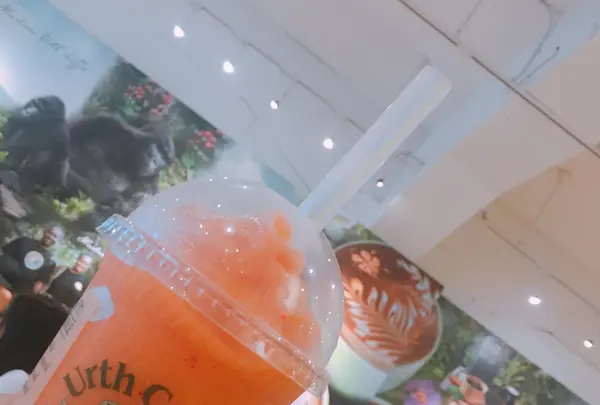 Urth Caffé 代官山店（アースカフェ）の写真・動画_image_259907