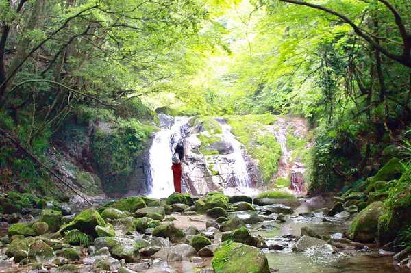 花貫渓谷の写真・動画_image_260214