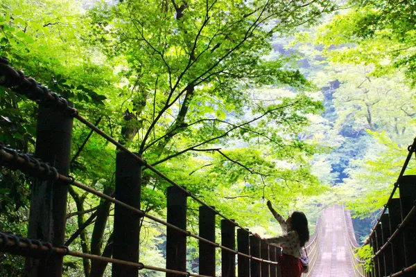 花貫渓谷の写真・動画_image_260215