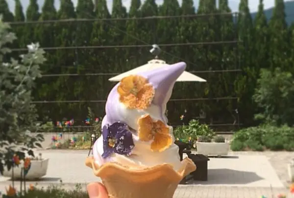 自然工房石ころ館の写真・動画_image_260564