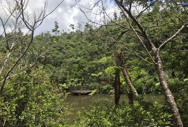 【閉業】カフェ七色の風の写真・動画_image_260727