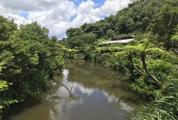 【閉業】カフェ七色の風の写真・動画_image_260731