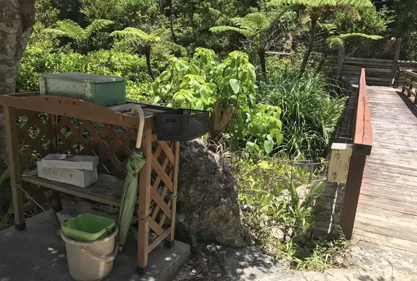 【閉業】カフェ七色の風の写真・動画_image_260732