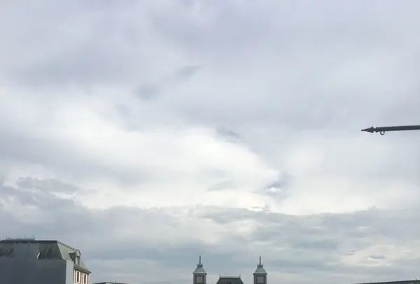 道の駅 神戸フルーツ・フラワーパーク大沢の写真・動画_image_261173