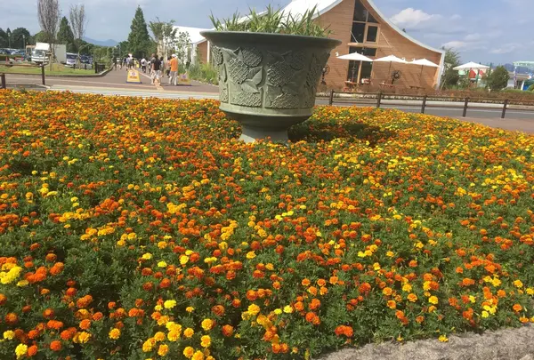 道の駅 神戸フルーツ・フラワーパーク大沢の写真・動画_image_261176