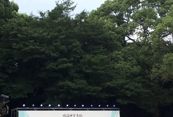 明治神宮前(原宿)駅の写真・動画_image_261575