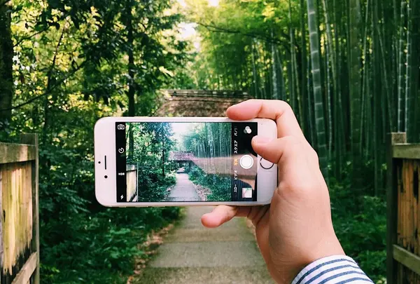 とらや工房の写真・動画_image_261954