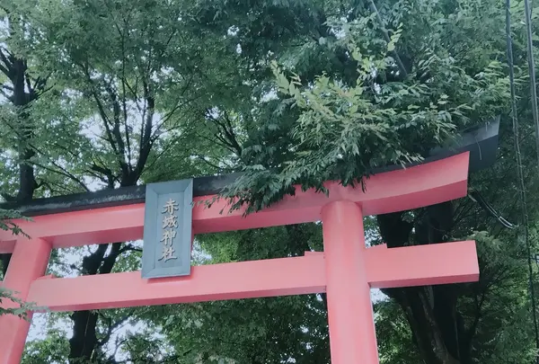 赤城神社の写真・動画_image_262504