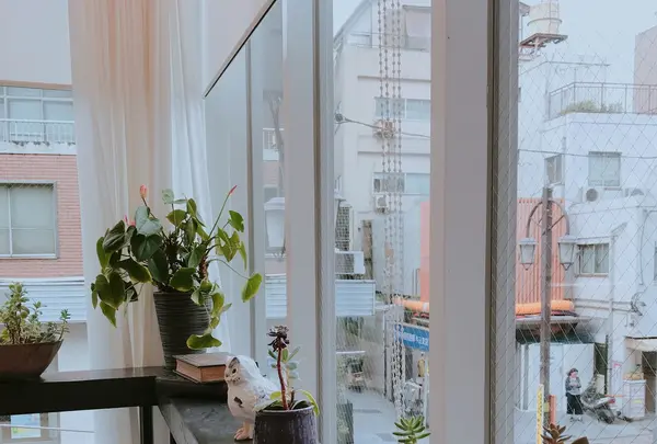 神楽坂モノガタリの写真・動画_image_262506