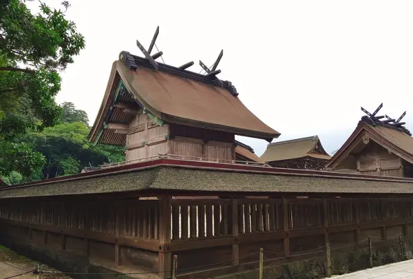 出雲大社の写真・動画_image_262541