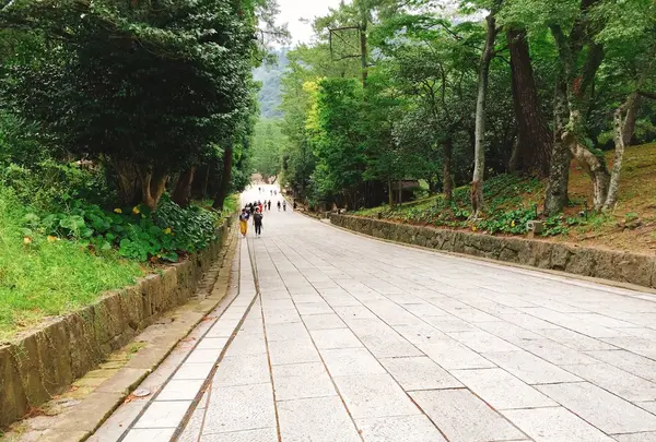 出雲大社の写真・動画_image_262546