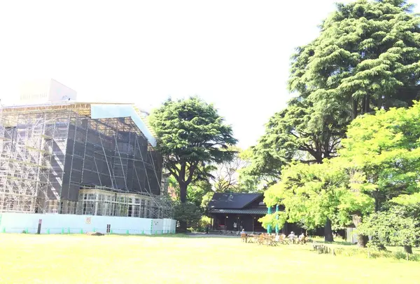 旧岩崎邸庭園の写真・動画_image_263372