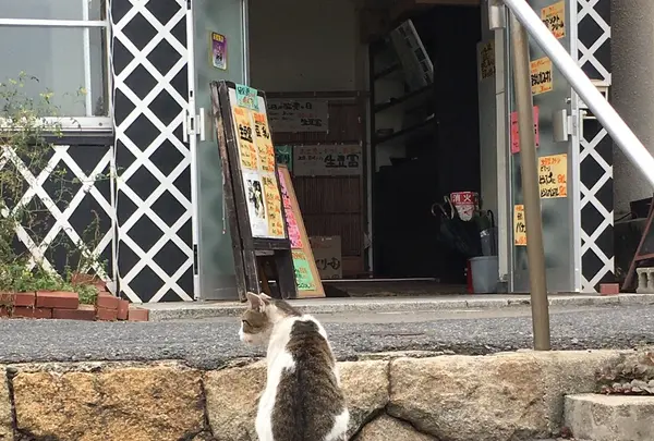 鞆の浦の写真・動画_image_263791