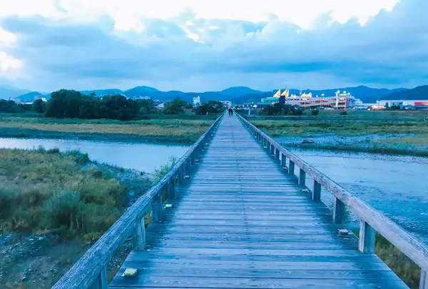 蓬莱橋の写真・動画_image_265158
