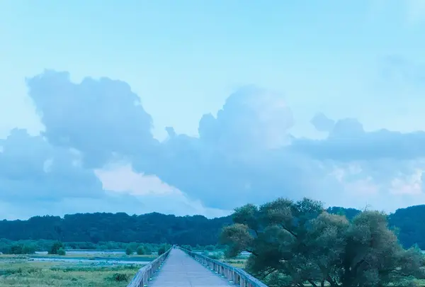 蓬莱橋の写真・動画_image_265159
