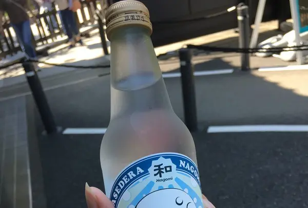 長谷寺の写真・動画_image_265450