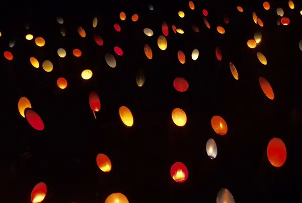 御船山楽園の写真・動画_image_265499