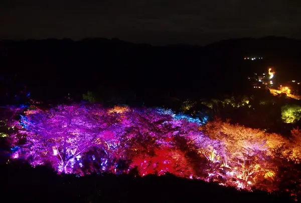 御船山楽園の写真・動画_image_265503