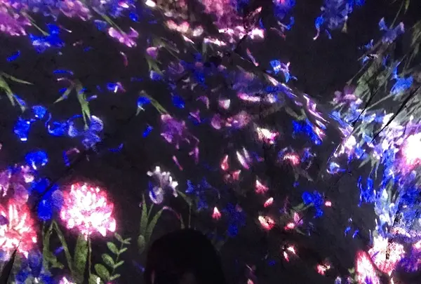 御船山楽園の写真・動画_image_265508