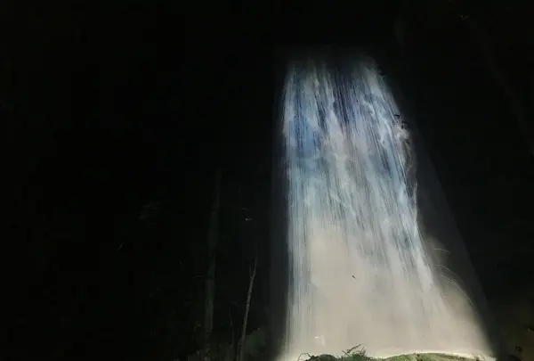 御船山楽園の写真・動画_image_265510