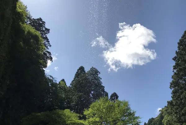 壇鏡の滝の写真・動画_image_265611