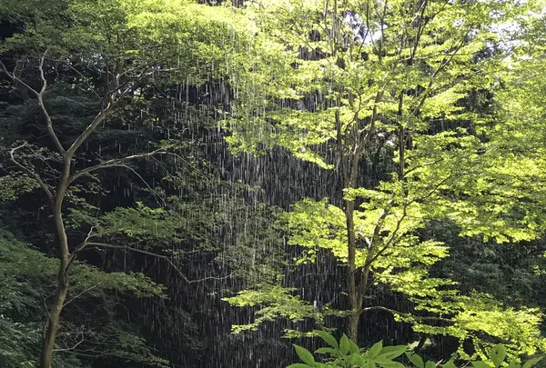 壇鏡の滝の写真・動画_image_265613